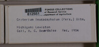 Image Associated With the Occurence